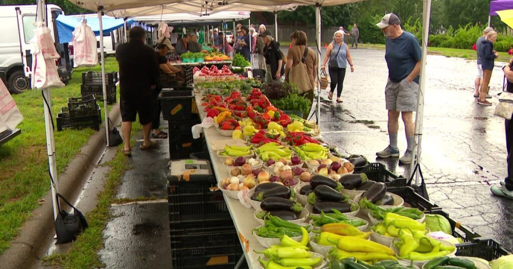 Food contamination scares prompt safety questions for Twin Cities farmers markets Food contamination scares prompt safety questions for Twin Cities farmers markets