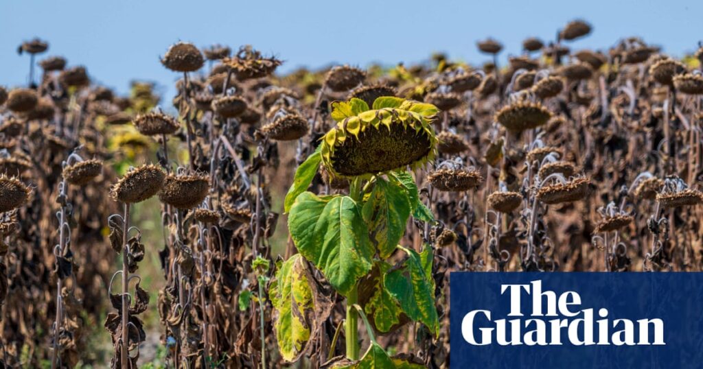 Extreme heat breaks temperature records in central and eastern Europe Extreme heat breaks temperature records in central and eastern Europe