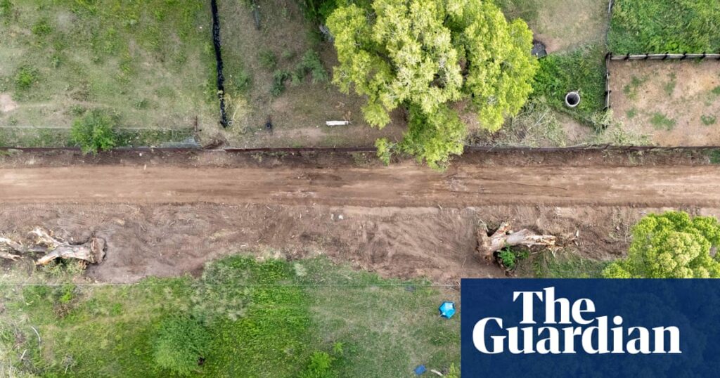 Protesters occupy 200-year-old tree at US-Mexico border to stop its destruction: ‘She’s our Statue of Liberty’ Protesters occupy 200-year-old tree at US-Mexico border to stop its destruction: ‘She’s our Statue of Liberty’