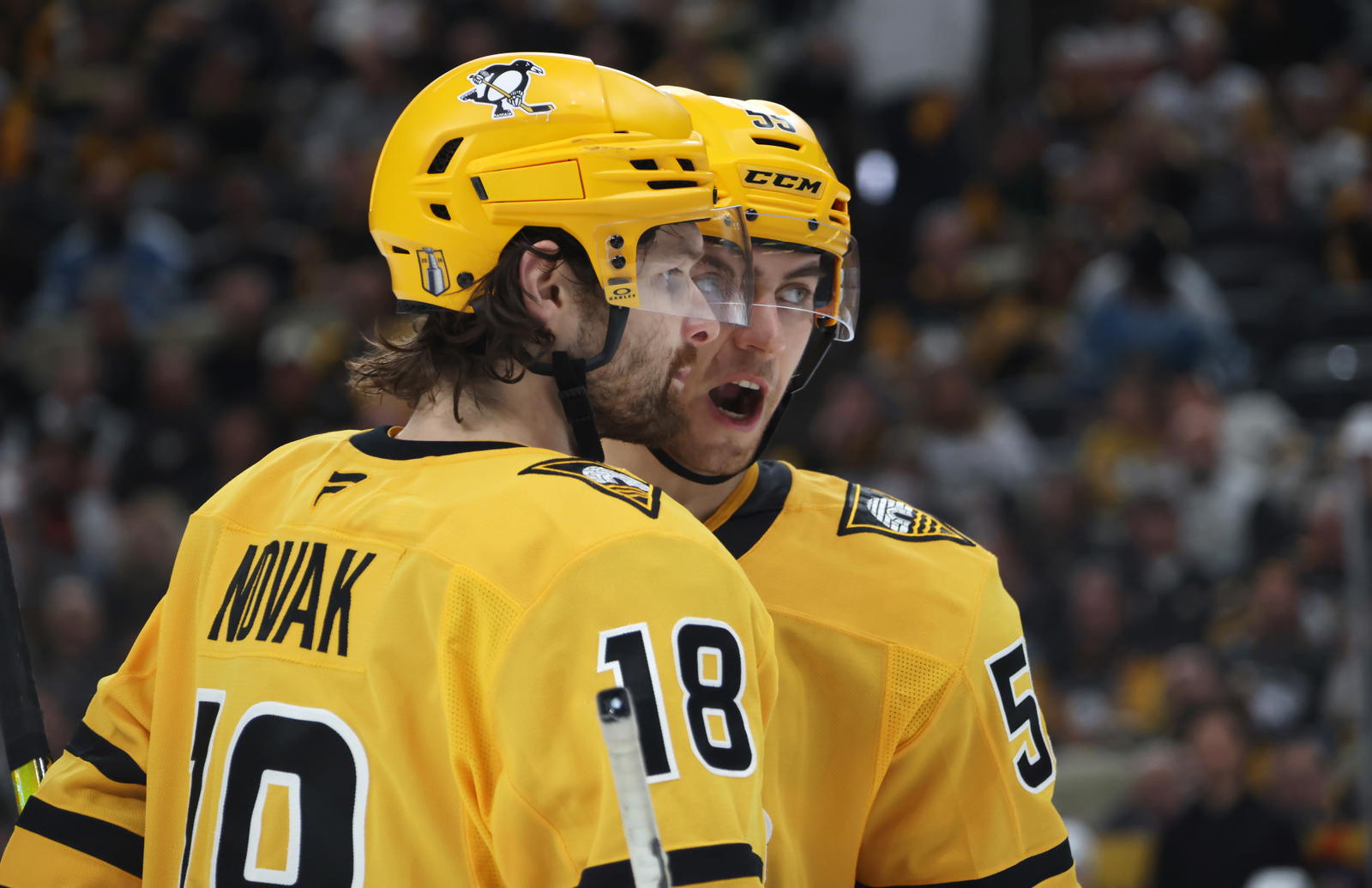 Tommy Novak had himself a solid season last year. What's in store for him this year?