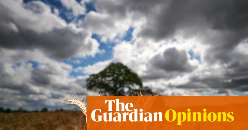 Reform says we need to choose between climate and economy. It’s wrong Reform says we need to choose between climate and economy. It's wrong
