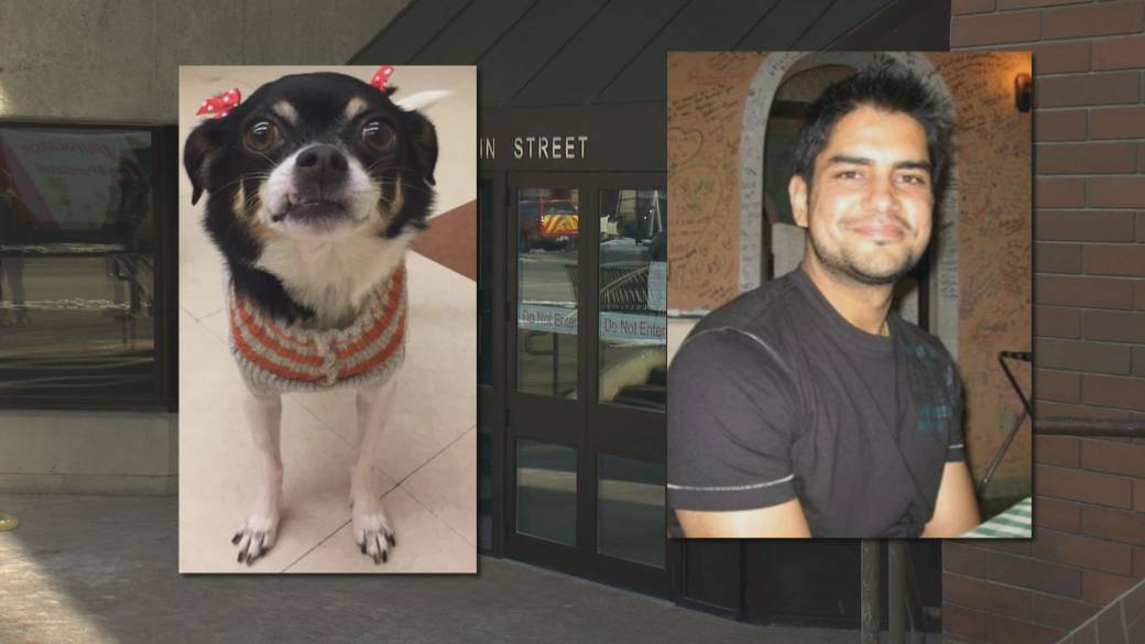 Click to play video: 'Sentencing hearing for man convicted of killing Chihuahua'