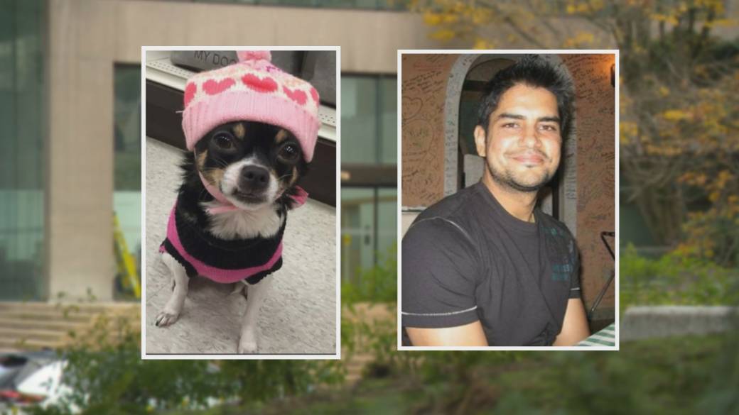 Click to play video: 'Man convicted in death of dog appeals'