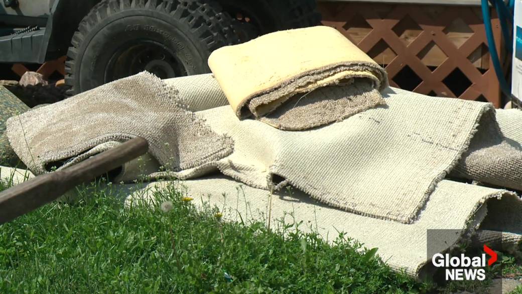 Click to play video: 'Estimated $230 million in insured damage claimed from Edmonton storms'