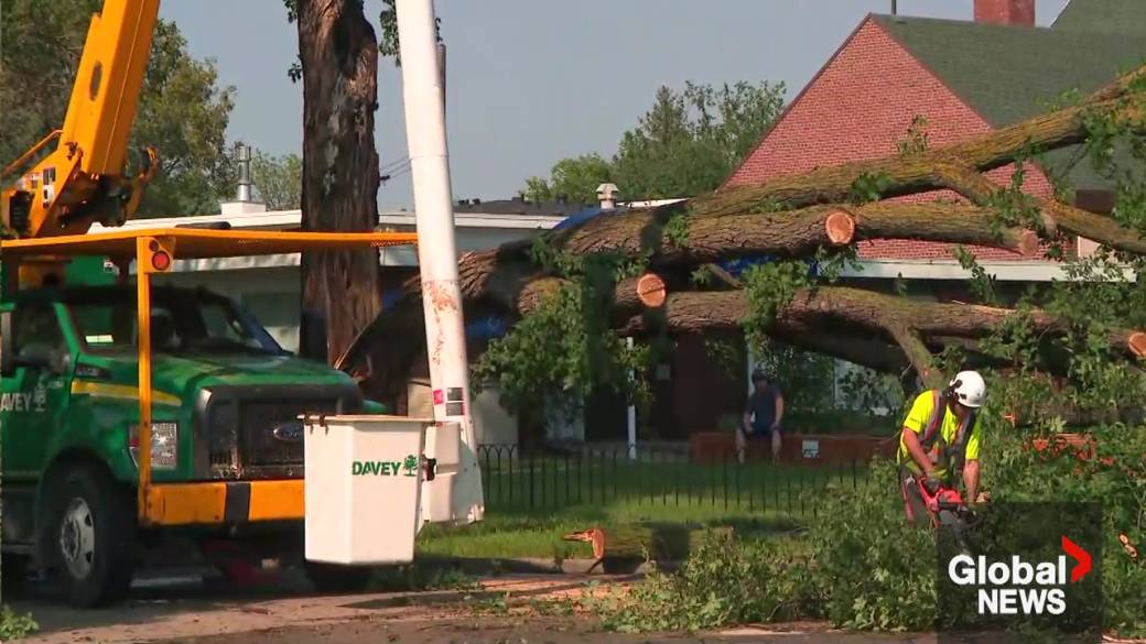 Click to play video: 'Edmonton summer storms cleanup cost estimated between $20-$30 million'