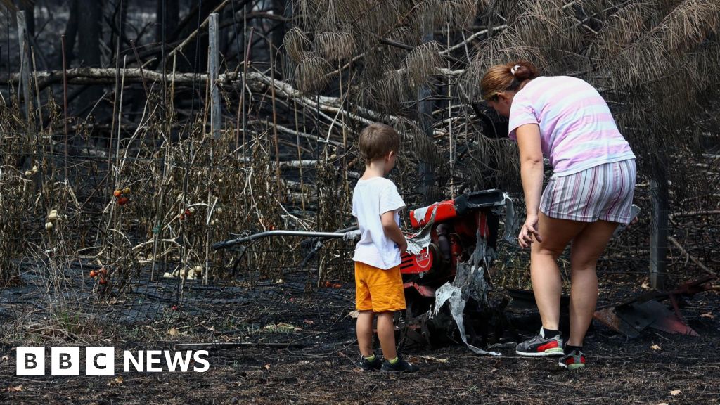 France wildfires reveal hundreds of WW2 shells in village France wildfires reveal hundreds of WW2 shells in village