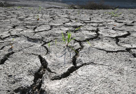 The dried up bed of a reservoir in Miryang on 3 August 2026, as South Korea is hit by a scorching heatwave.