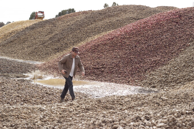 A young man with light skin tone wears a brown jacket, white shirt and jeans and walks among huge mounds of potatoes.