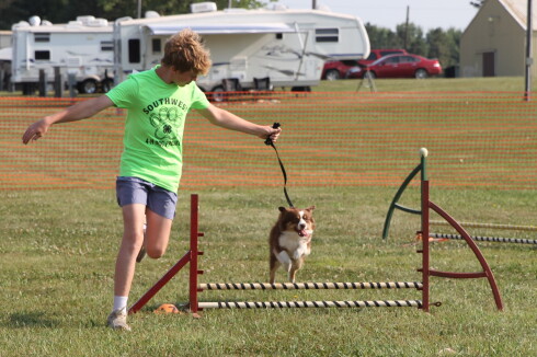 Birdie 2026 4-H dog show