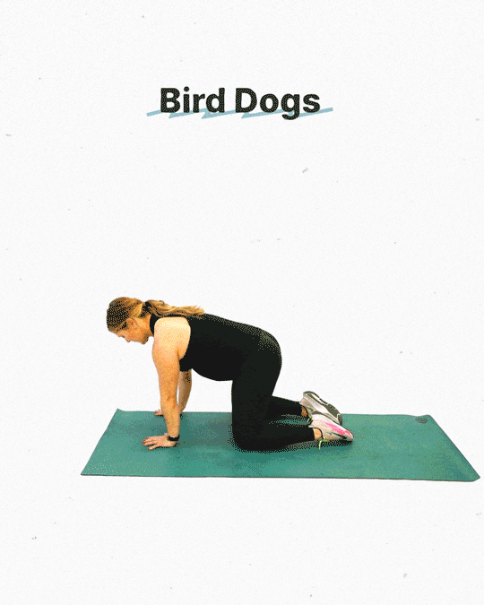 Keskey-Koester demonstrates bird dogs.