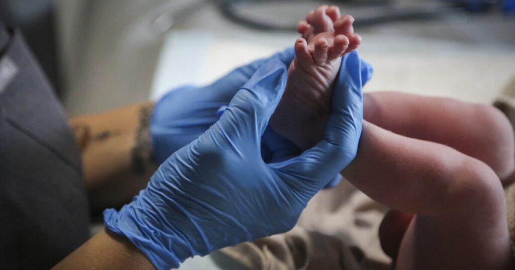 Multistate controversy highlights ‘gray areas’ around surrogacy, bioethics expert says Multistate controversy highlights ‘gray areas’ around surrogacy, bioethics expert says