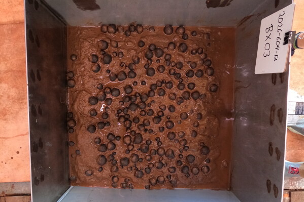 This photo provided by the U.S. Geological Survey shows polymetallic nodules in a sample from the seafloor that was collected on April 14, 2026, in U.S. waters off American Samoa. (USGS via AP, File)