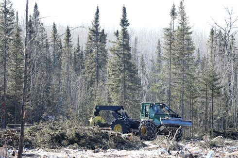 File: Logging