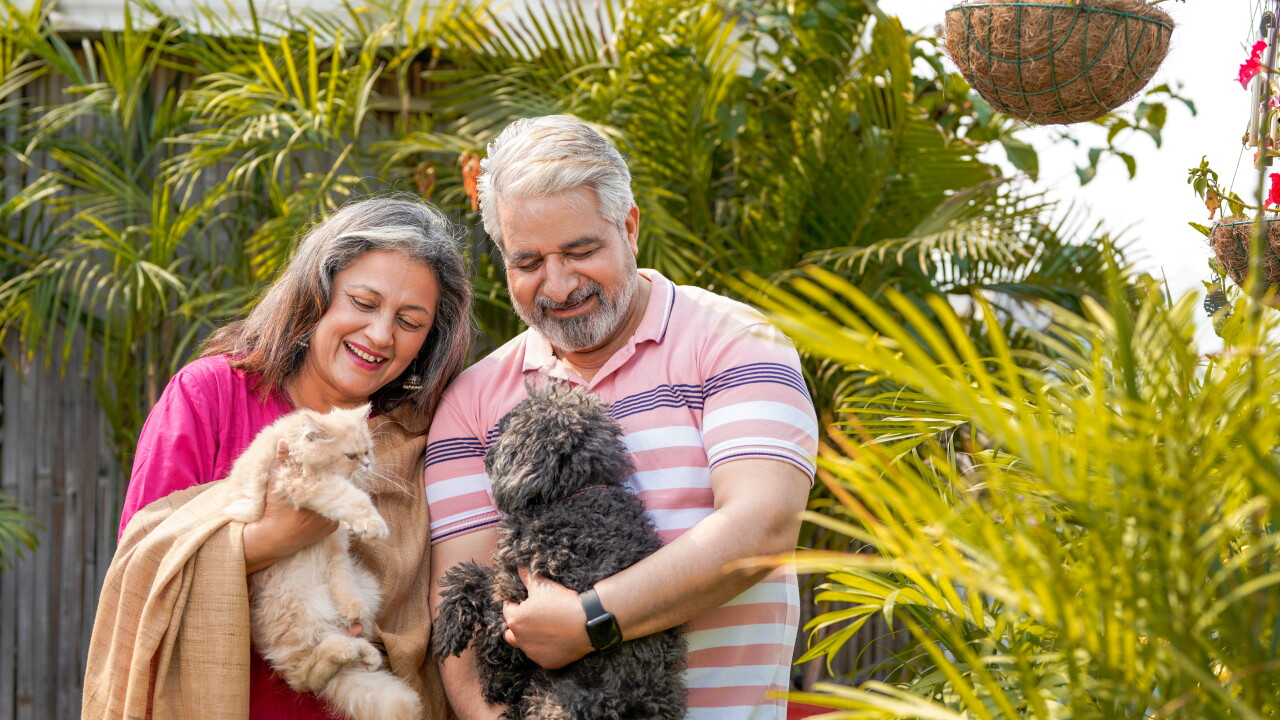 Senior couple playing with dogy puppy and cat. concept of animal love.