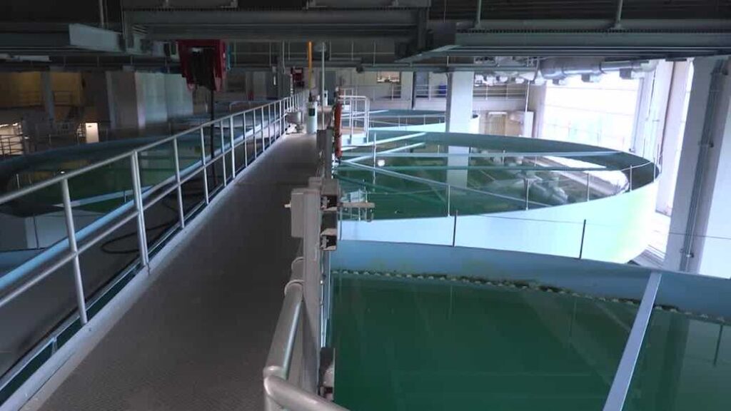 University of Iowa uses AI to predict nitrate levels in water