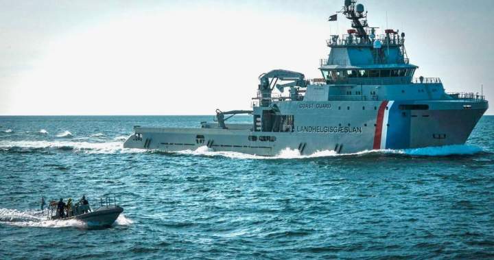 Iceland anti-whaling mission a success: activists Iceland anti-whaling mission a success: activists