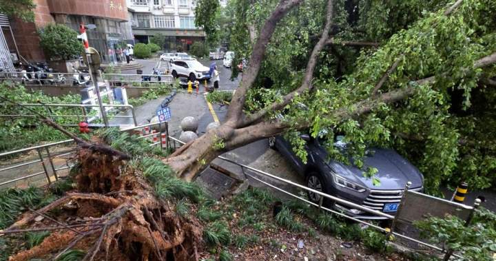 Air Canada flights resume following Typhoon Dolphin in southern China – National Air Canada flights resume following Typhoon Dolphin in southern China - National