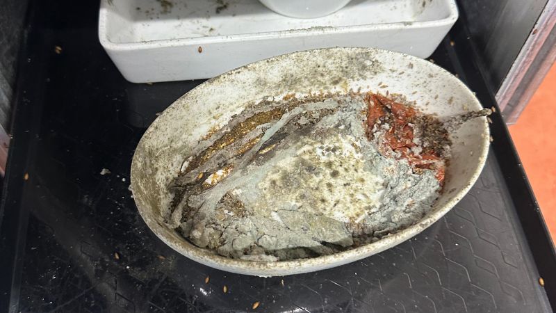 Maggots and cockroaches seen at airline catering facility, staff allege Maggots and cockroaches seen at airline catering facility, staff allege