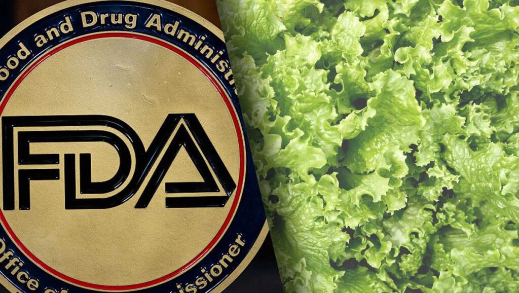 Diarrhea parasites, glass in bread: Is our food getting less safe? What experts told us Diarrhea parasites, glass in bread: Is our food getting less safe? What experts told us