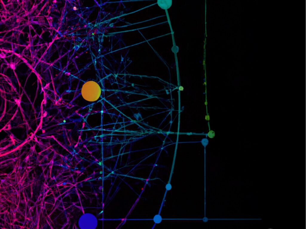 Artificial Intelligence for Nuclear Deterrence Strategy 2023 Artificial Intelligence for Nuclear Deterrence Strategy 2023