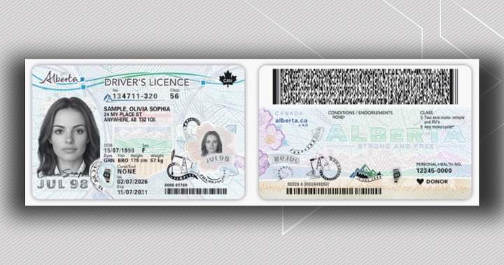 Married women share problems renewing Alberta driver’s licences Married women share problems renewing Alberta driver’s licences
