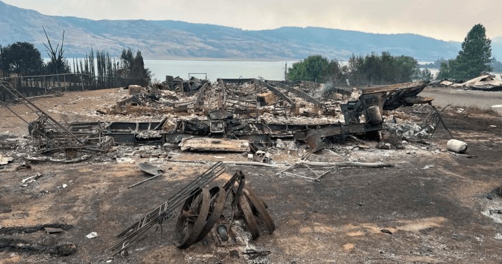 Photos show Bradley Creek wildfire destruction as resident describes losing everything Photos show Bradley Creek wildfire destruction as resident describes losing everything