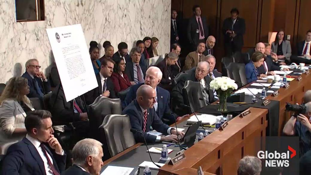 Click to play video: 'Todd Blanche grilled on Capitol Hill'