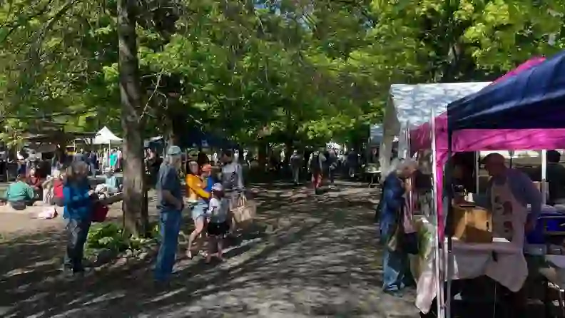 Shoppers browsing tented stalls under leafy trees