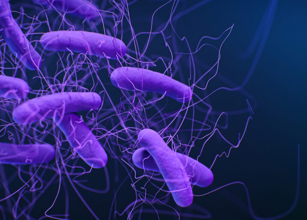 Vanderbilt Health evaluating vaccine for C. difficile for people 65 and older Vanderbilt Health evaluating vaccine for C. difficile for people 65 and older