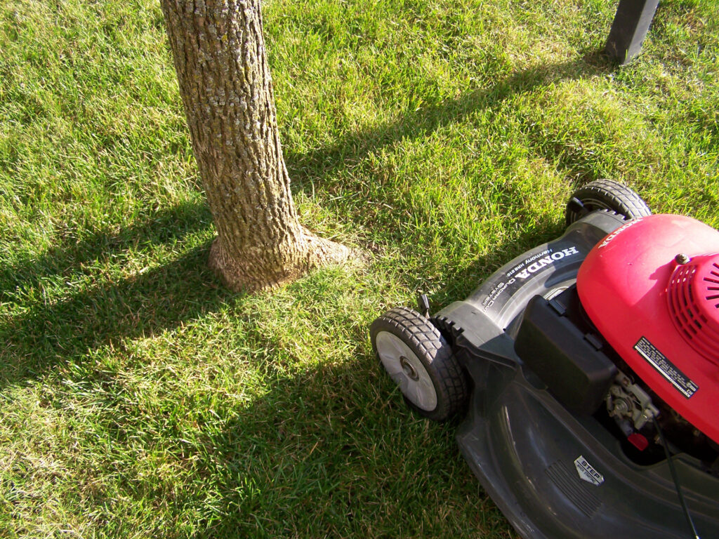 Protect tree bark from power tools with mulch