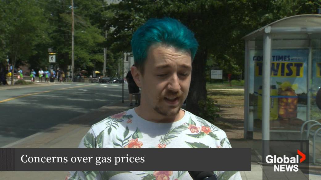 Click to play video: 'National group representing taxpayers calls for federal government to pump brakes on gas levy'