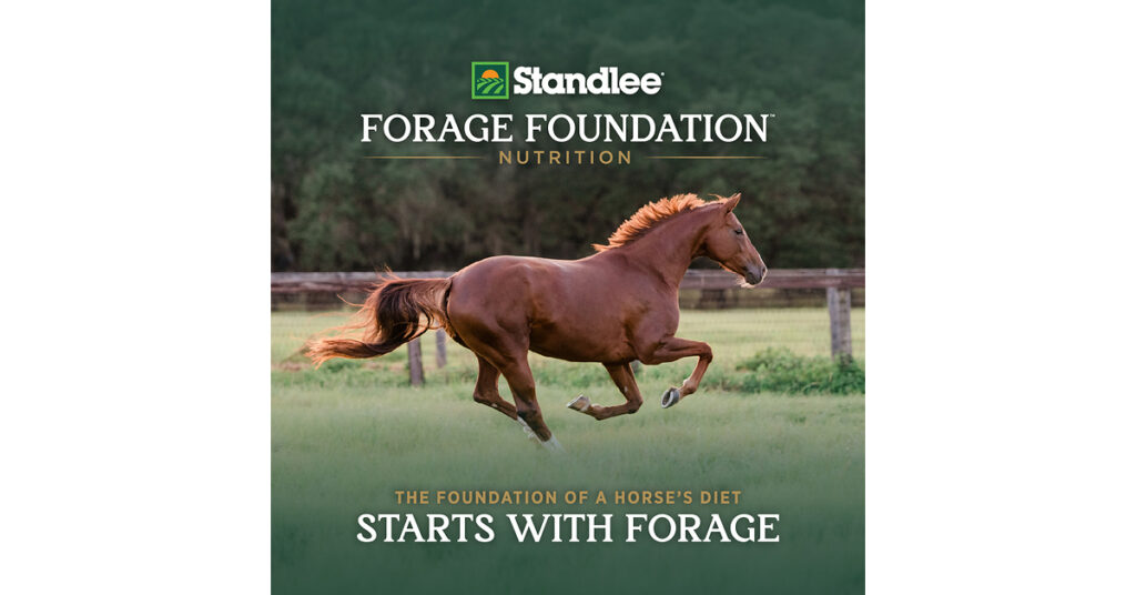 Standlee Launches Forage Foundation™ to Advance the Role of Forage in Equine Nutrition Standlee Launches Forage Foundation™ to Advance the Role of Forage in Equine Nutrition