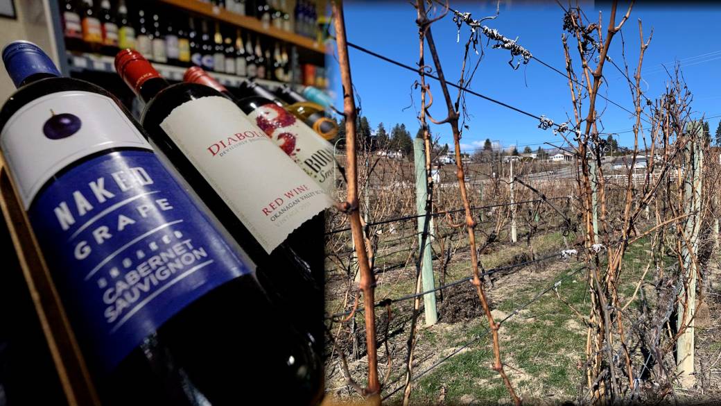 Click to play video: 'B.C. wildfires deal another blow to Okanagan wineries'