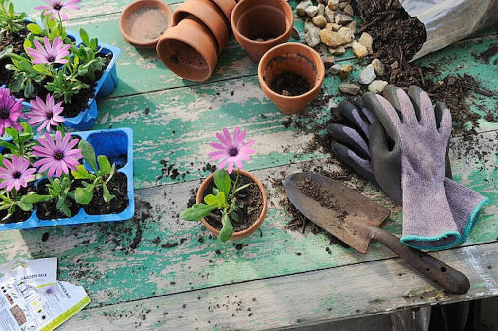 Colorado Springs area home and garden events starting Aug. 22