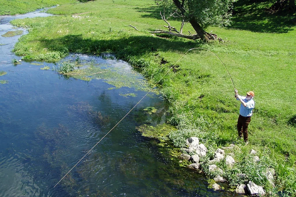 Driftless Area Fly Fishing