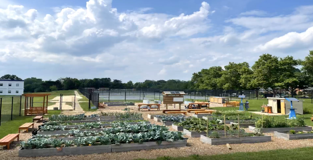 Montgomery County Awards Gardening Grants to Five Organizations to Strengthen Community Food Production