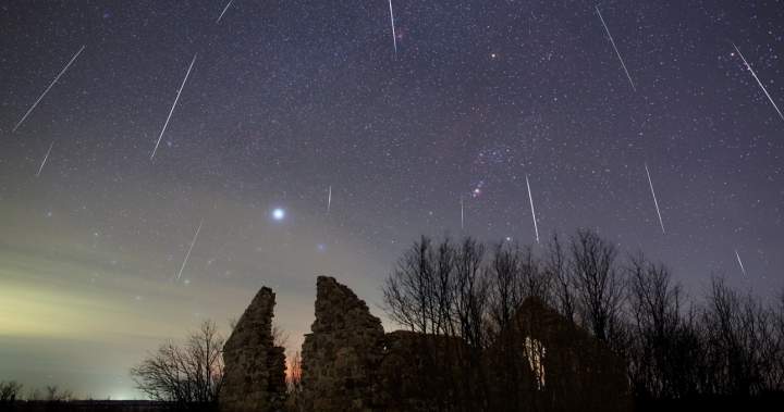 Perseid meteor shower and partial solar eclipse to light up skies next week – National Perseid meteor shower and partial solar eclipse to light up skies next week - National