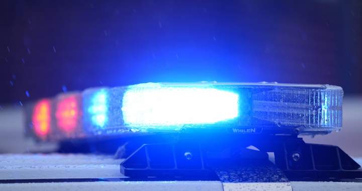 Manitoba man arrested in North Dakota after abduction: police – Winnipeg Manitoba man arrested in North Dakota after abduction: police - Winnipeg