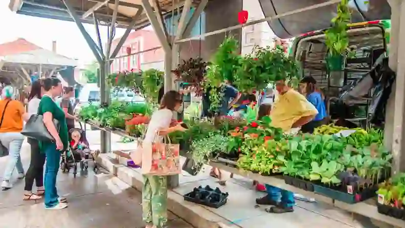 Shoppers browsing plant and flower stalls at an outdoor city market