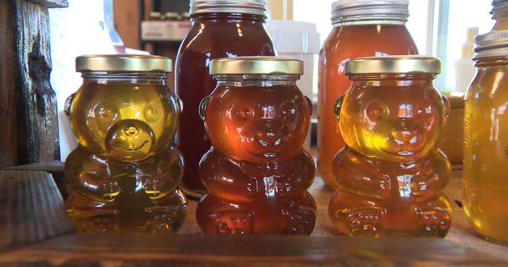 B.C.’s honey producers brace for the sting of 50% new tariff from the U.S. B.C.’s honey producers brace for the sting of 50% new tariff from the U.S.