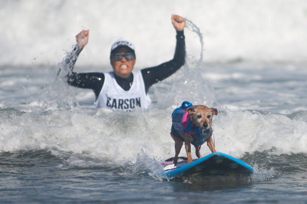 Photos: Canines hang ten at annual World Dog Surfing Championships