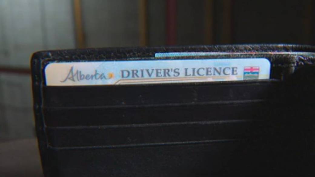 Click to play video: 'Albertans react to proposed changes to licences, ID cards'