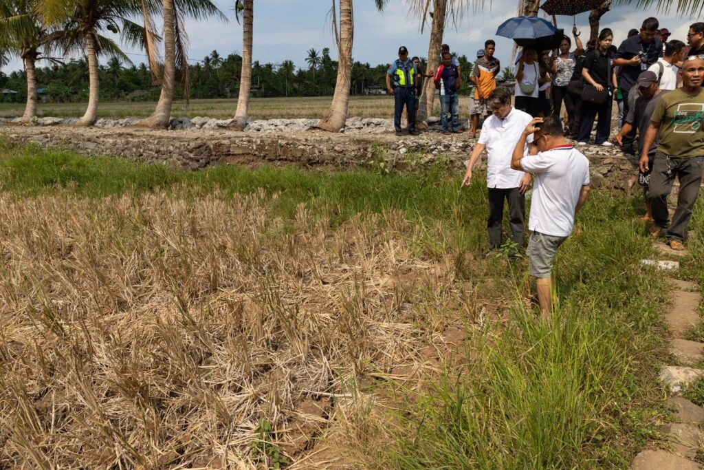 UN warns of rising food prices due to climate change and energy price hikes UN warns of rising food prices due to climate change and energy price hikes