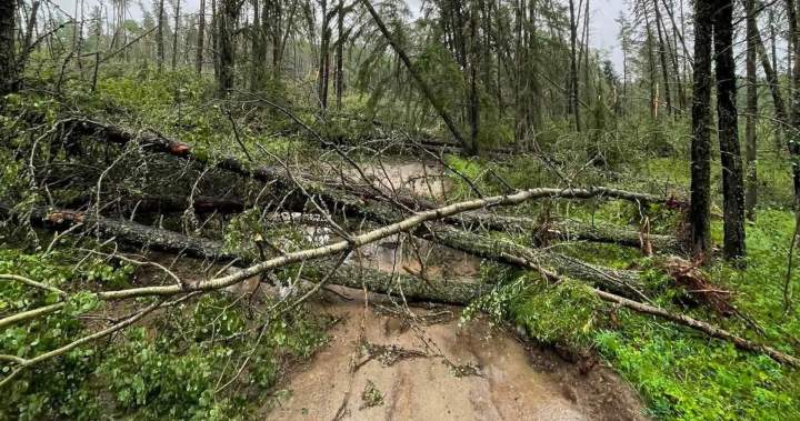 Family stranded overnight as storm blocks road near Seibert Lake: ‘Couldn’t see anything’ Family stranded overnight as storm blocks road near Seibert Lake: ‘Couldn’t see anything’