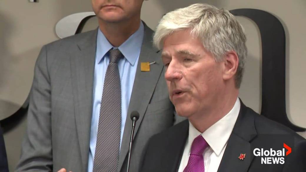 Click to play video: 'Hodgson says money earmarked for forest products will help industry pivot from reliance on U.S.'