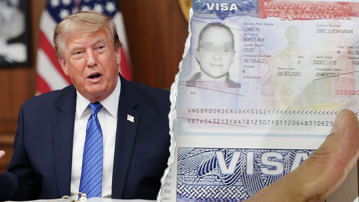 A split image of President Donald Trump with an image of a visa