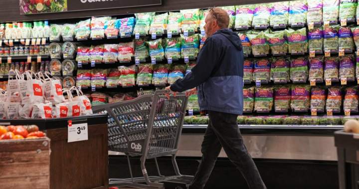 U.S. inflation cooled in July as gas prices fell but costs still high – National U.S. inflation cooled in July as gas prices fell but costs still high - National