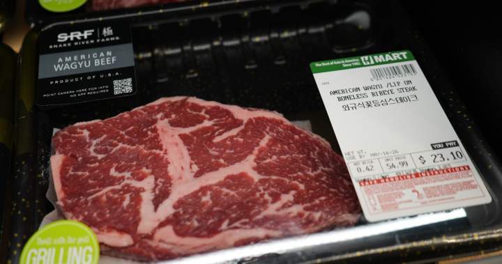 Trump to temporarily lower beef tariffs, angering U.S. cattle producers – National Trump to temporarily lower beef tariffs, angering U.S. cattle producers - National