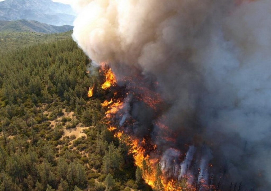 Forest fire from the air