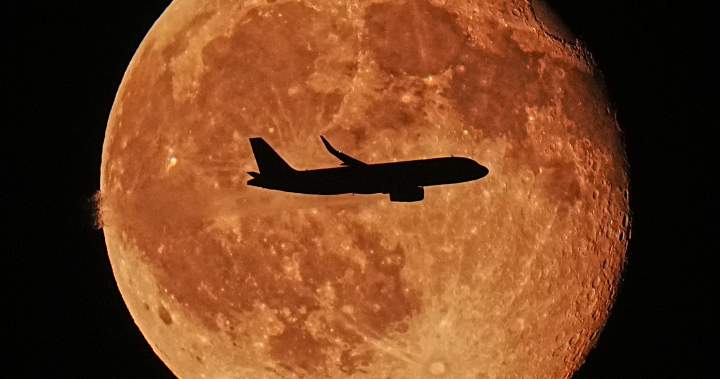 Toronto man pleads guilty to wire fraud after posing as pilot for free flights Toronto man pleads guilty to wire fraud after posing as pilot for free flights